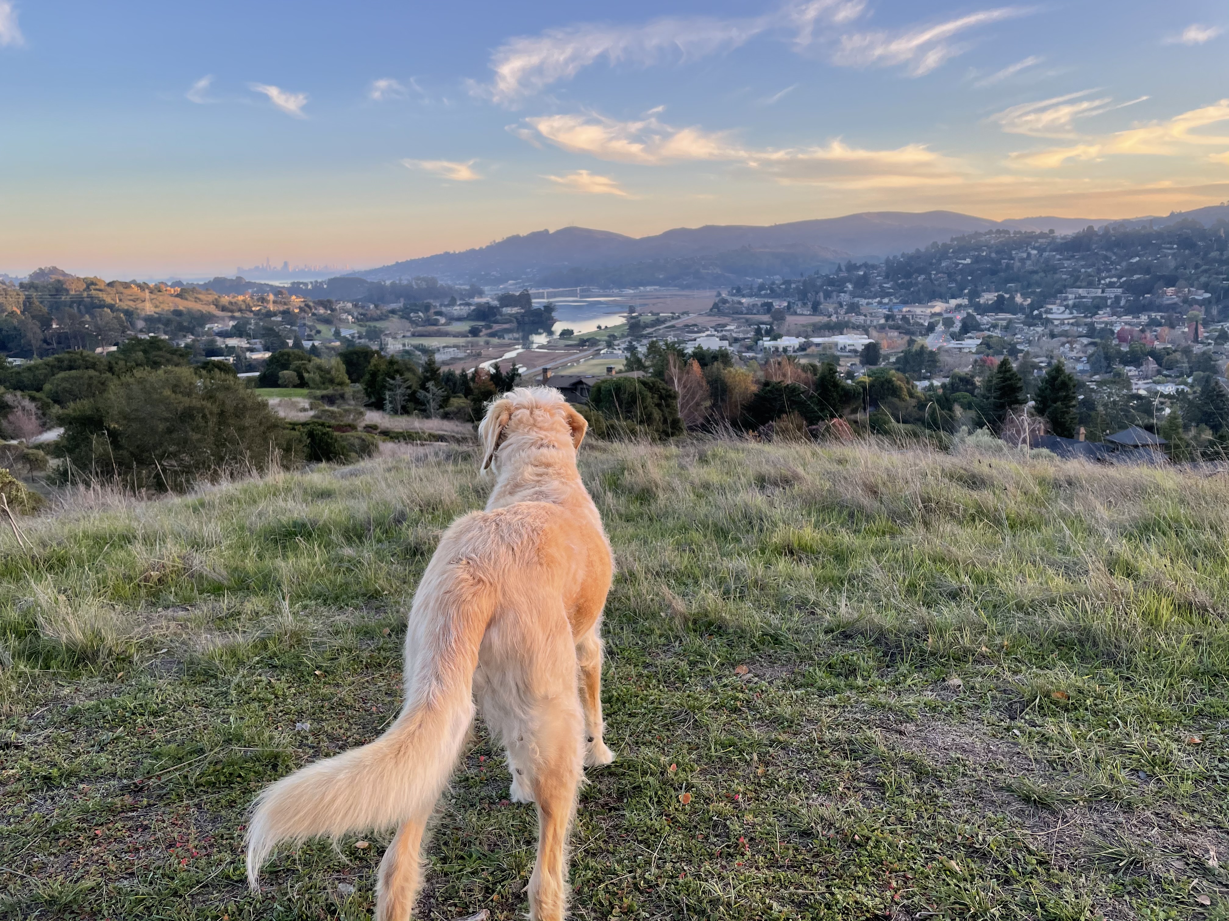 Kite Hill